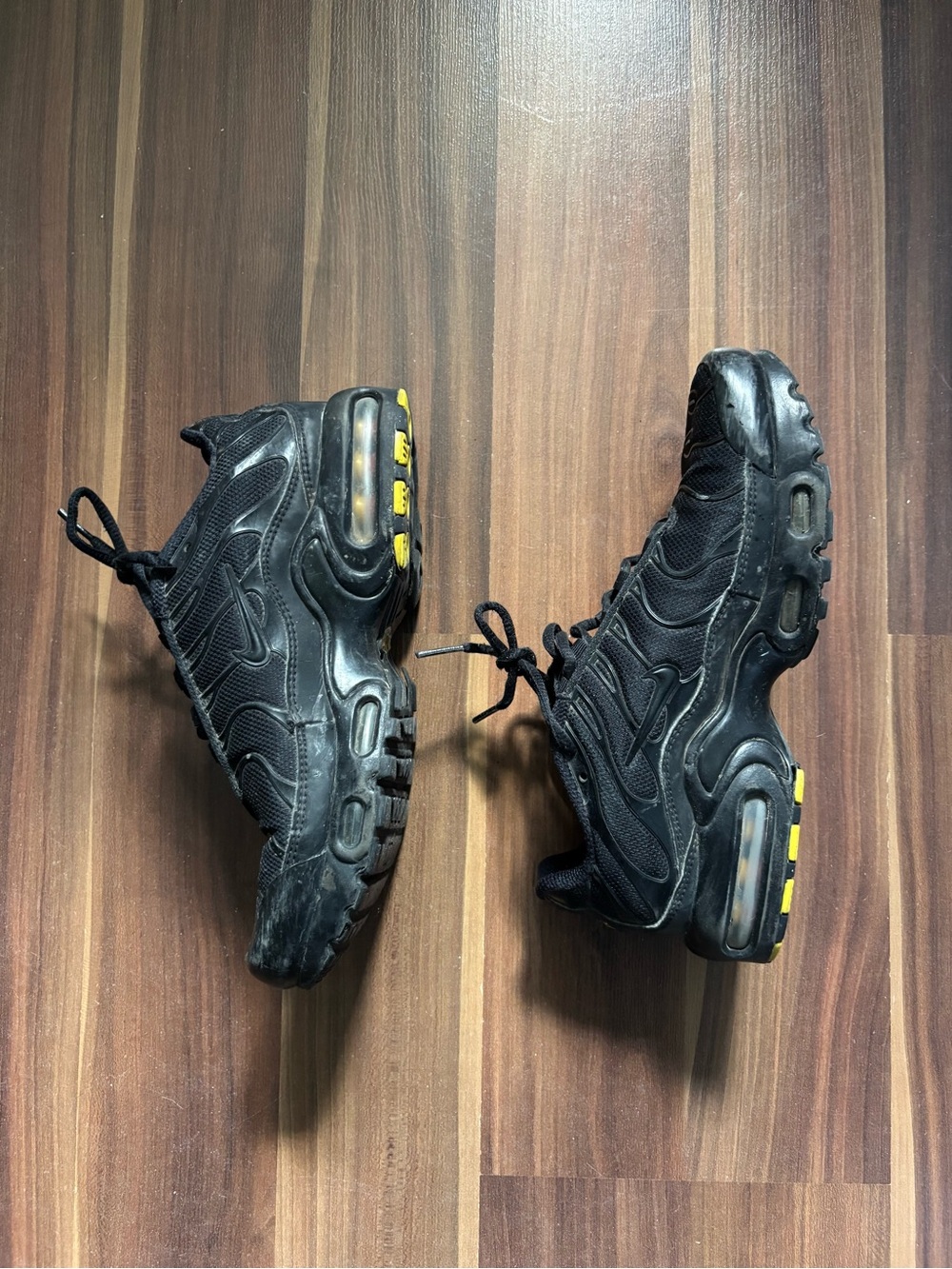 Nike Air Max TN Plus Sneakers in Black